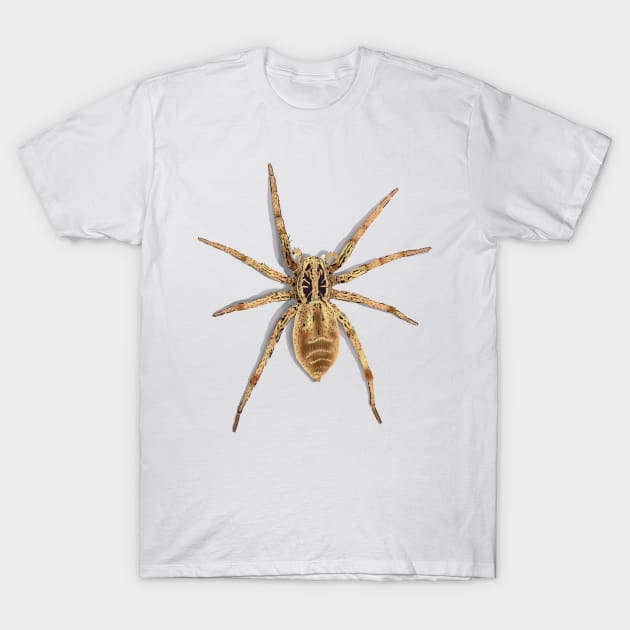 Sri Lankan tarantula T-Shirt by Snapdragon